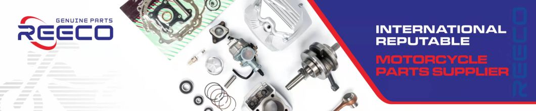 AKT200 PARTS-MOTORCYCLE-CARBURATOR